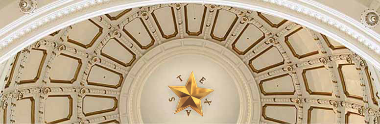 Stunning photo of the State of Texas Capital Dome